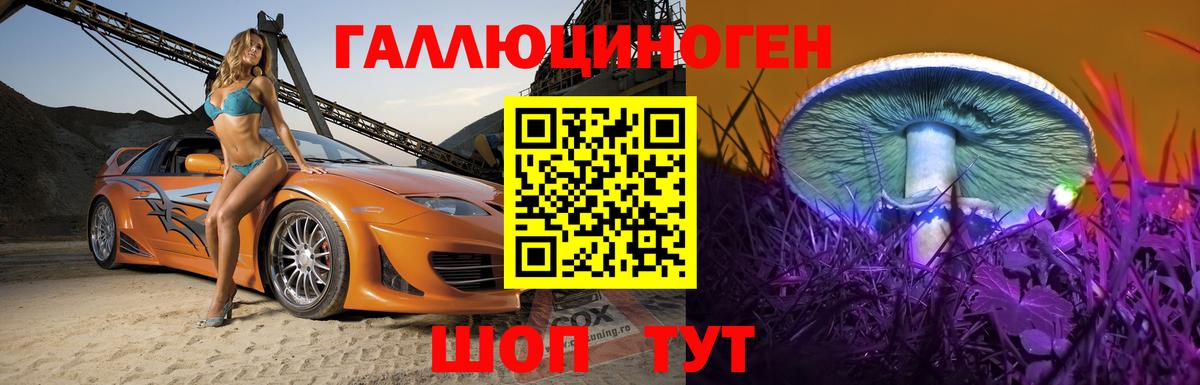 Санкт-Петербург  Псилоцибиновые грибы Psilocybine cubensis  Вход с VPN 