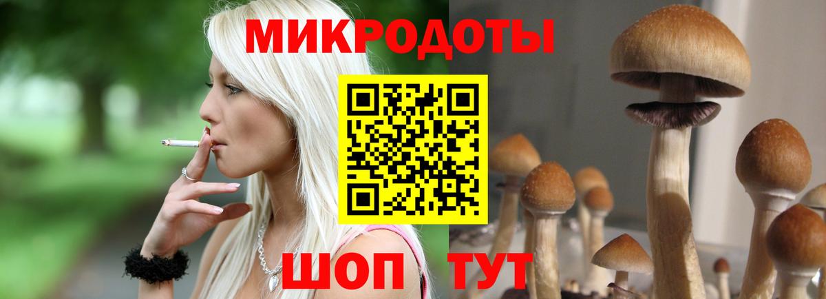 Галлюциногенные грибы Psilocybine cubensis Санкт-Петербург